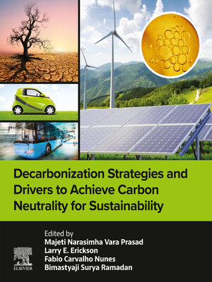 cover image of Decarbonization Strategies and Drivers to Achieve Carbon Neutrality for Sustainability
